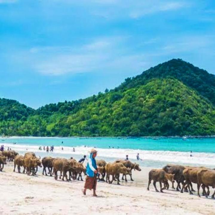 Sakila Homestay Kuta  Ngoại thất bức ảnh
