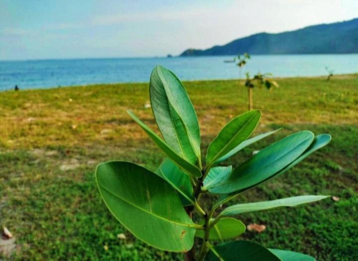 Sakila Homestay Kuta  Ngoại thất bức ảnh